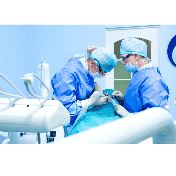 Panendoscopy procedure
